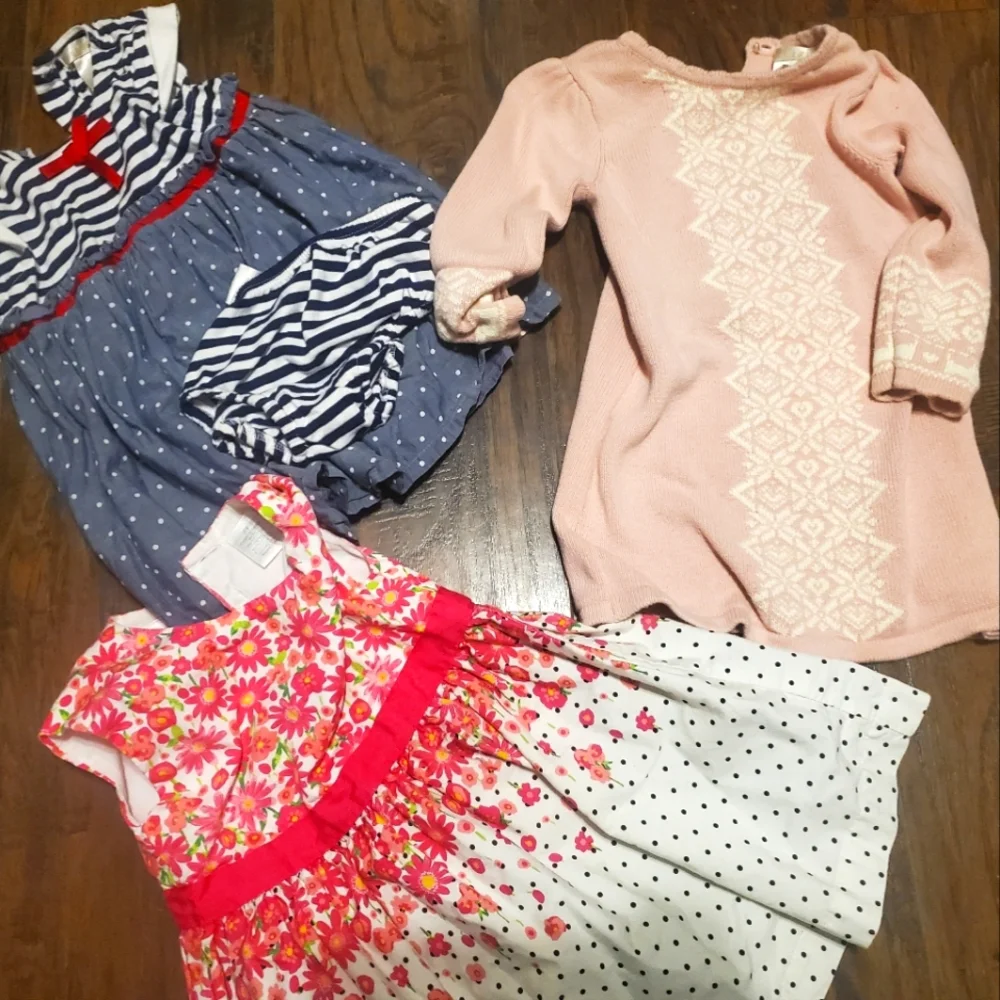 Baby Girl Toddler Lot Bundle Dresses Jackets Coats Fancy Church Sweater Winter - Picture 3 of 12